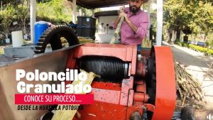 Piloncillo Granulado
