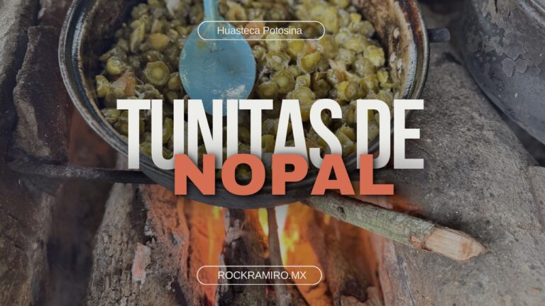 La Sabrosa Tradición de las Tunitas de Nopal en la Huasteca Potosina.